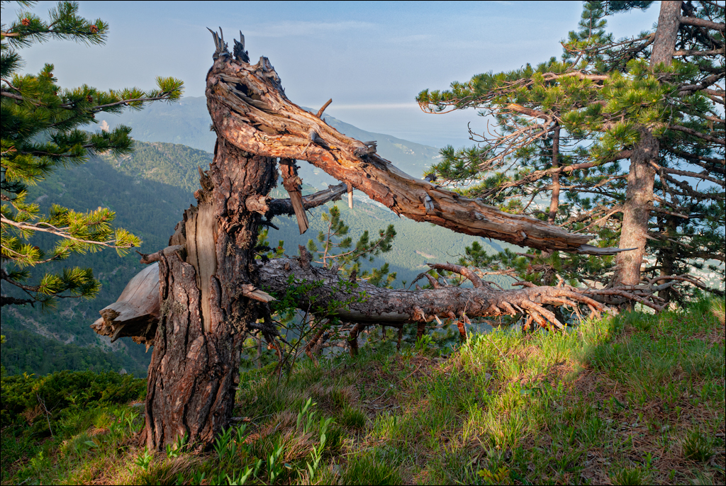 Crimea 20080517 191