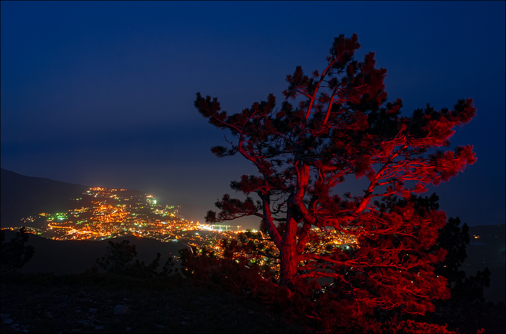 Crimea 20080517 198