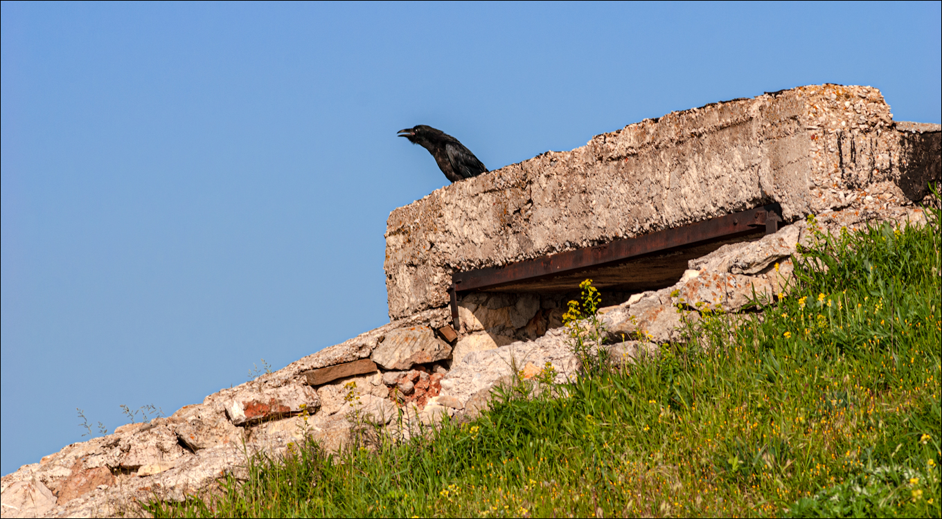 Crimea 20080517 206