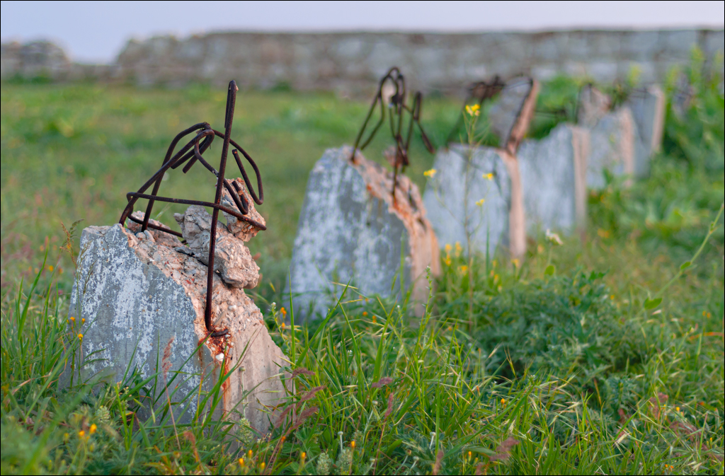 Crimea 20080517 221