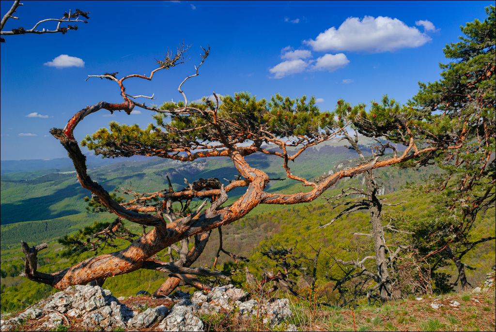 Crimea 20090509 232