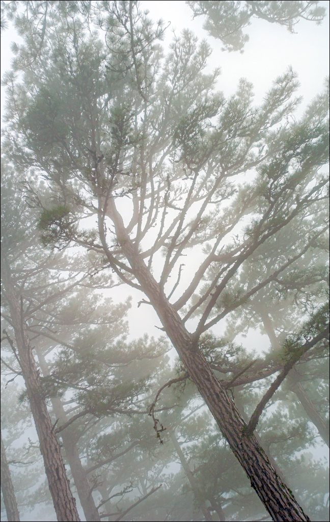 Crimea 20090509 278