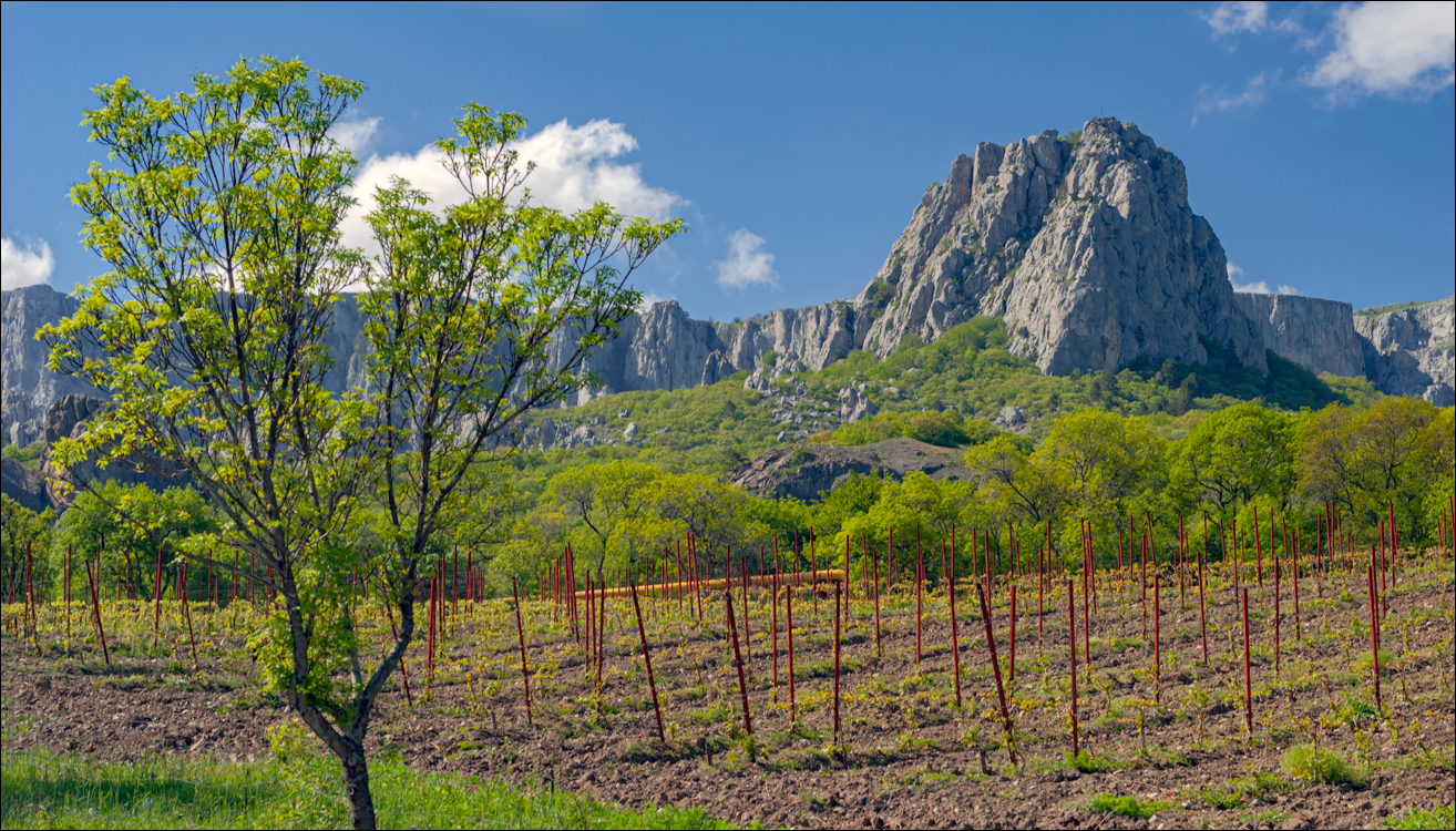 Crimea 20090509 290