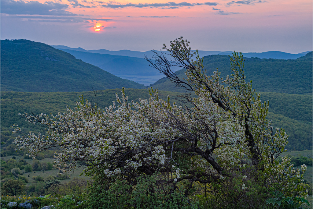 Crimea 20090509 329