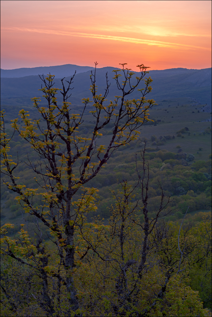 Crimea 20090509 336