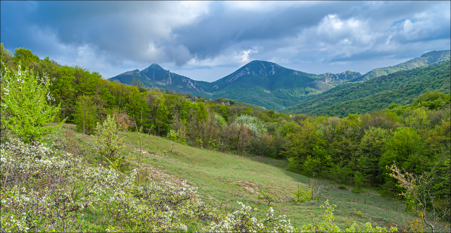 Crimea 20100508 129