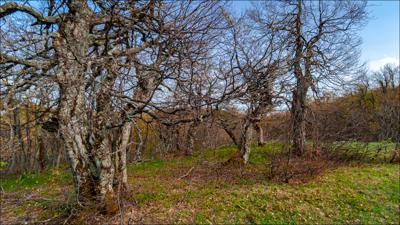 Crimea 20100508 142