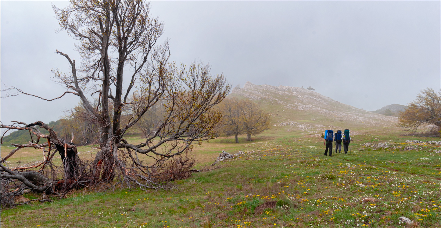 Crimea 20100508 189