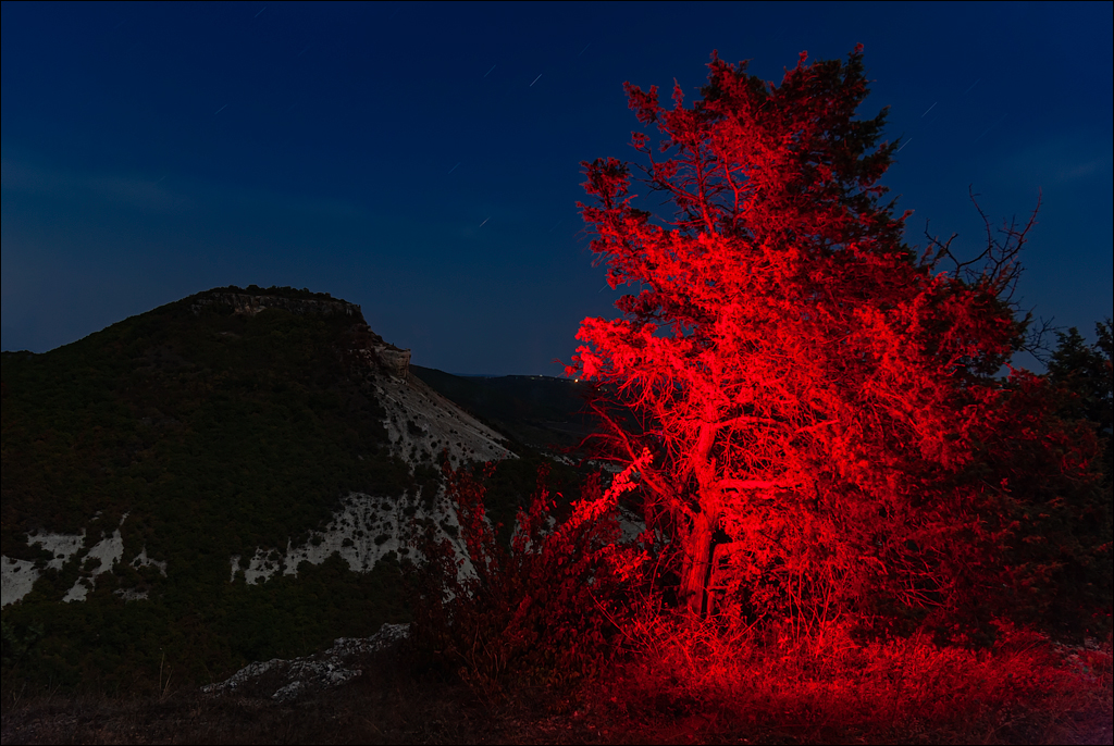 Crimea 20101004 114