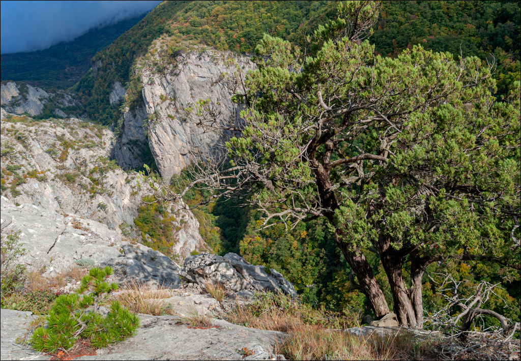 Crimea 20101004 172