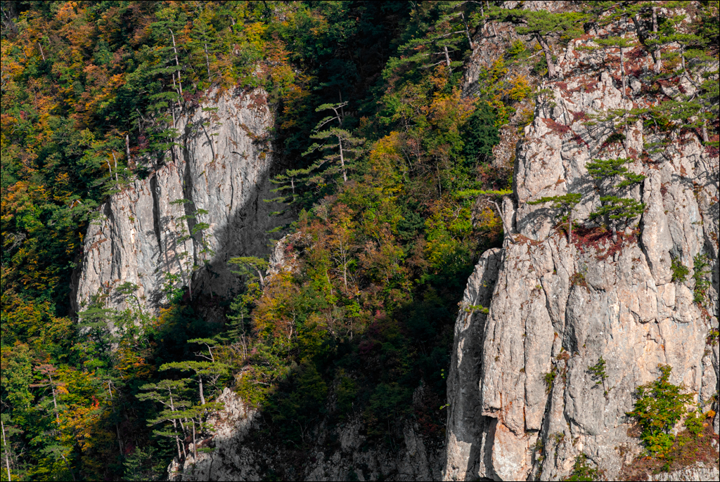 Crimea 20101004 178
