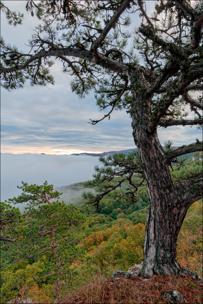 Crimea 20101004 204