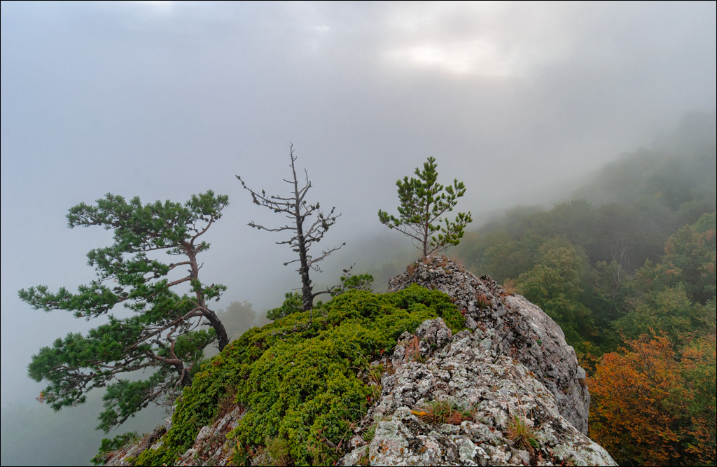 Crimea 20101004 208