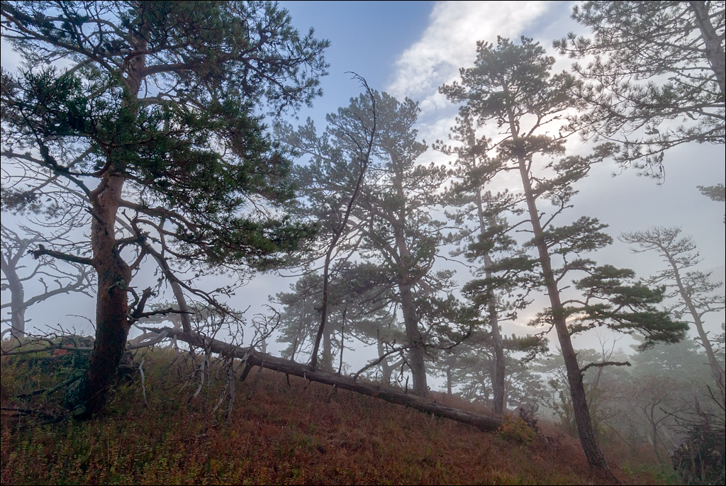 Crimea 20101004 211