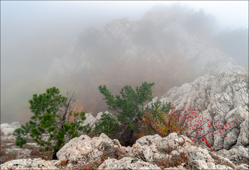 Crimea 20101004 212