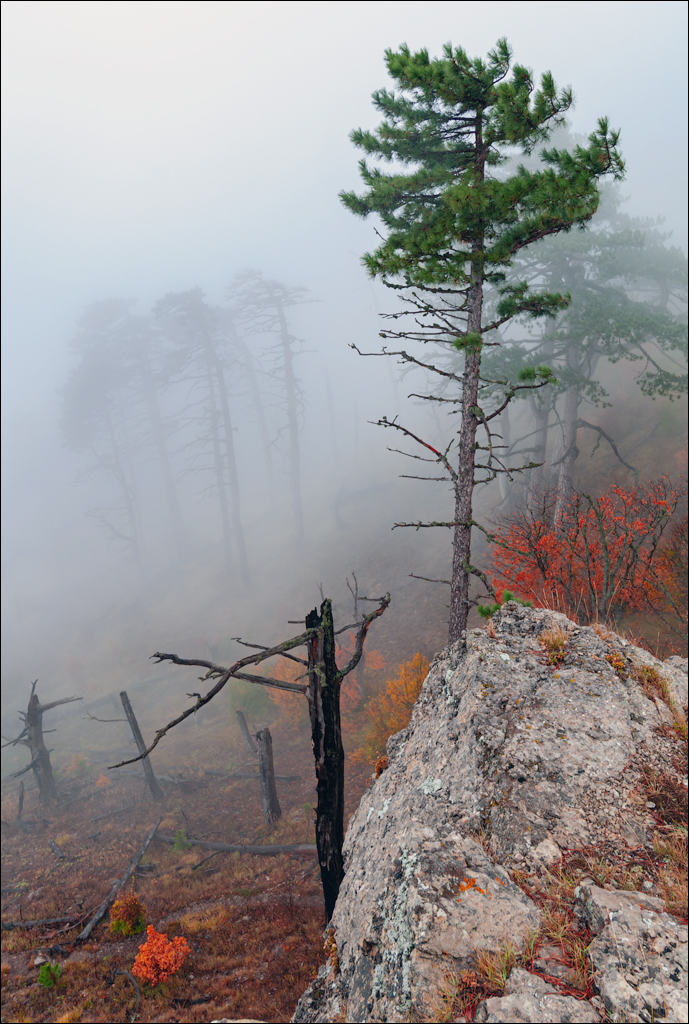 Crimea 20101004 217