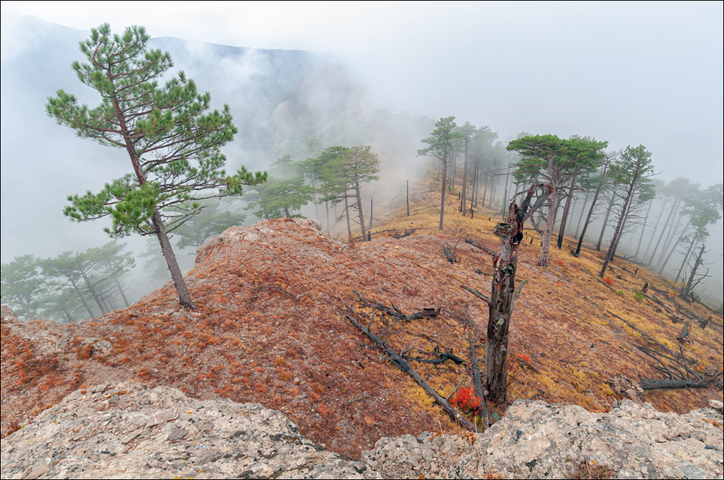 Crimea 20101004 220