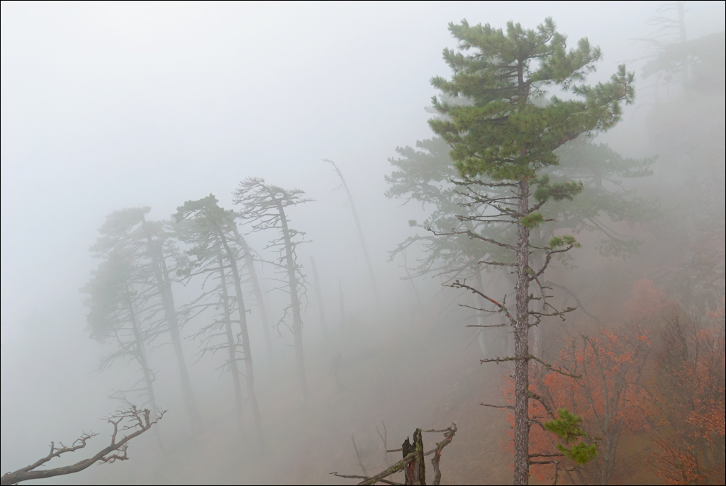 Crimea 20101004 224