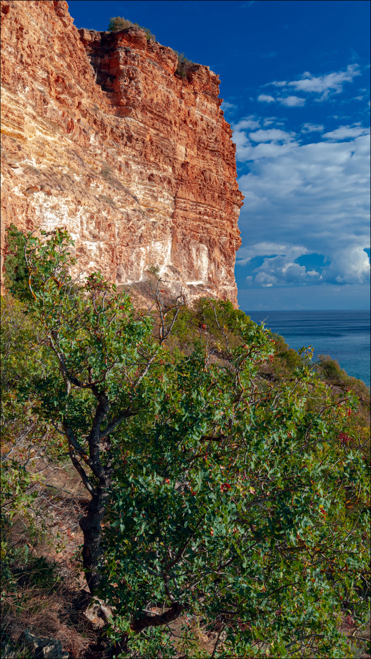 Crimea 20101004 237