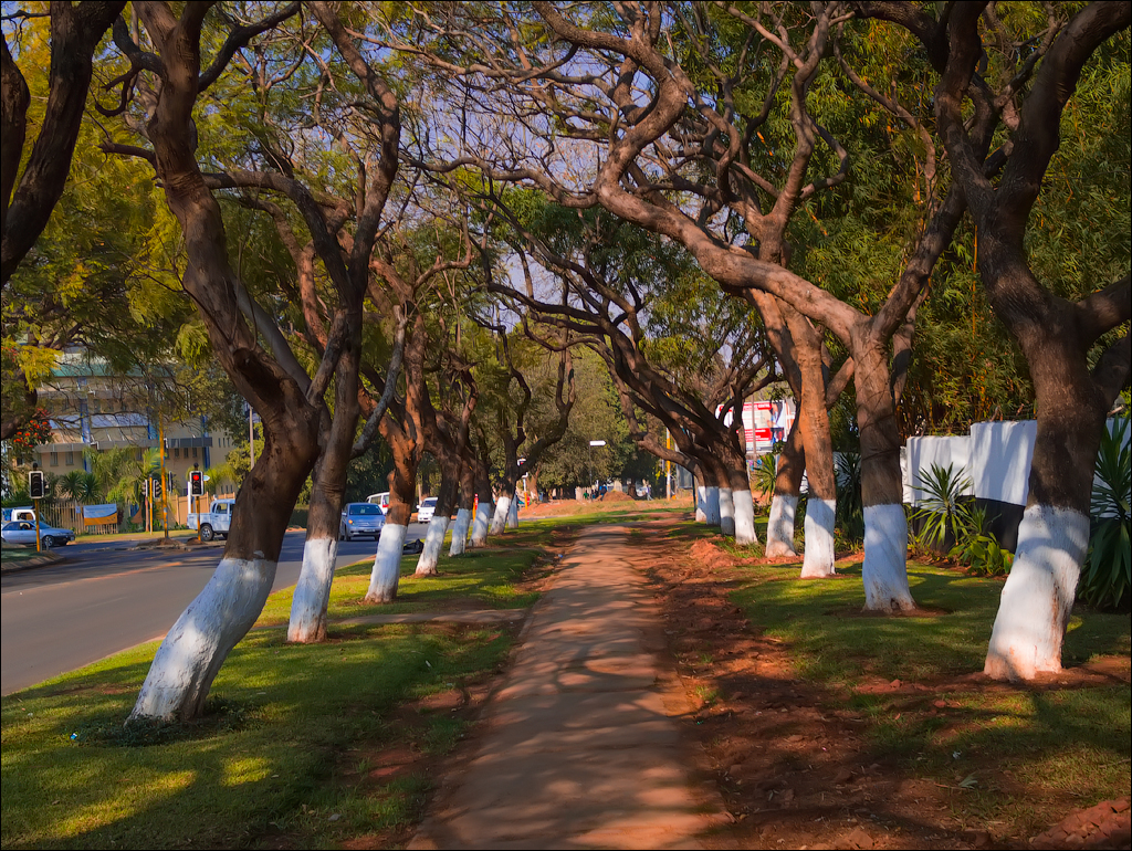 Zambia Aug2015 011