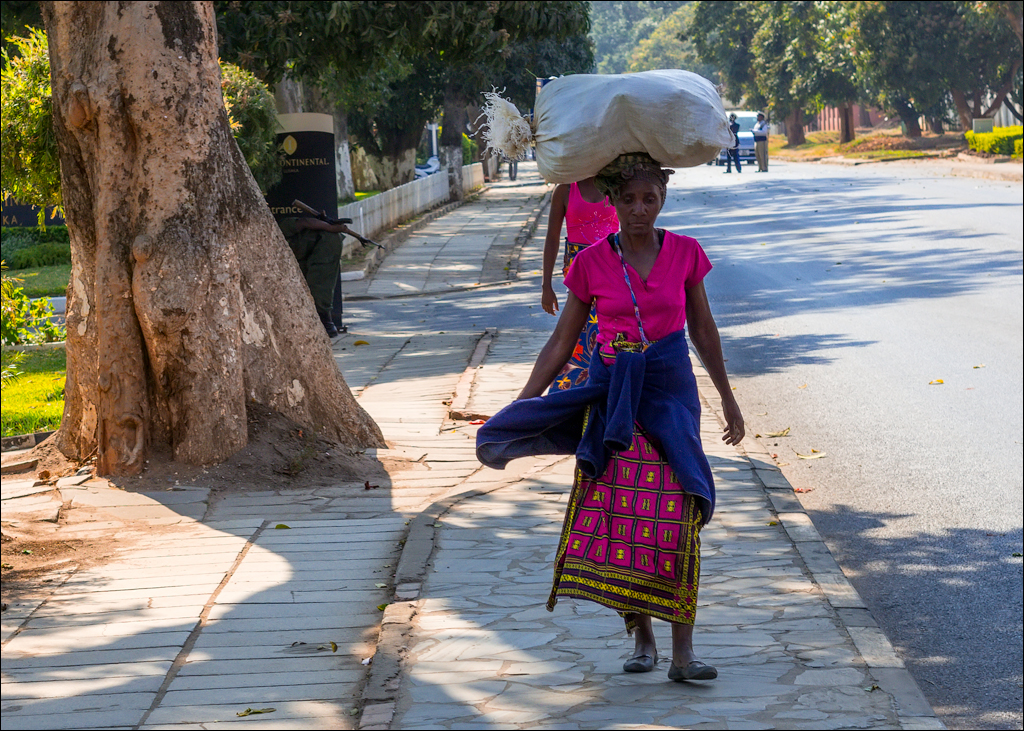 Zambia Aug2015 015