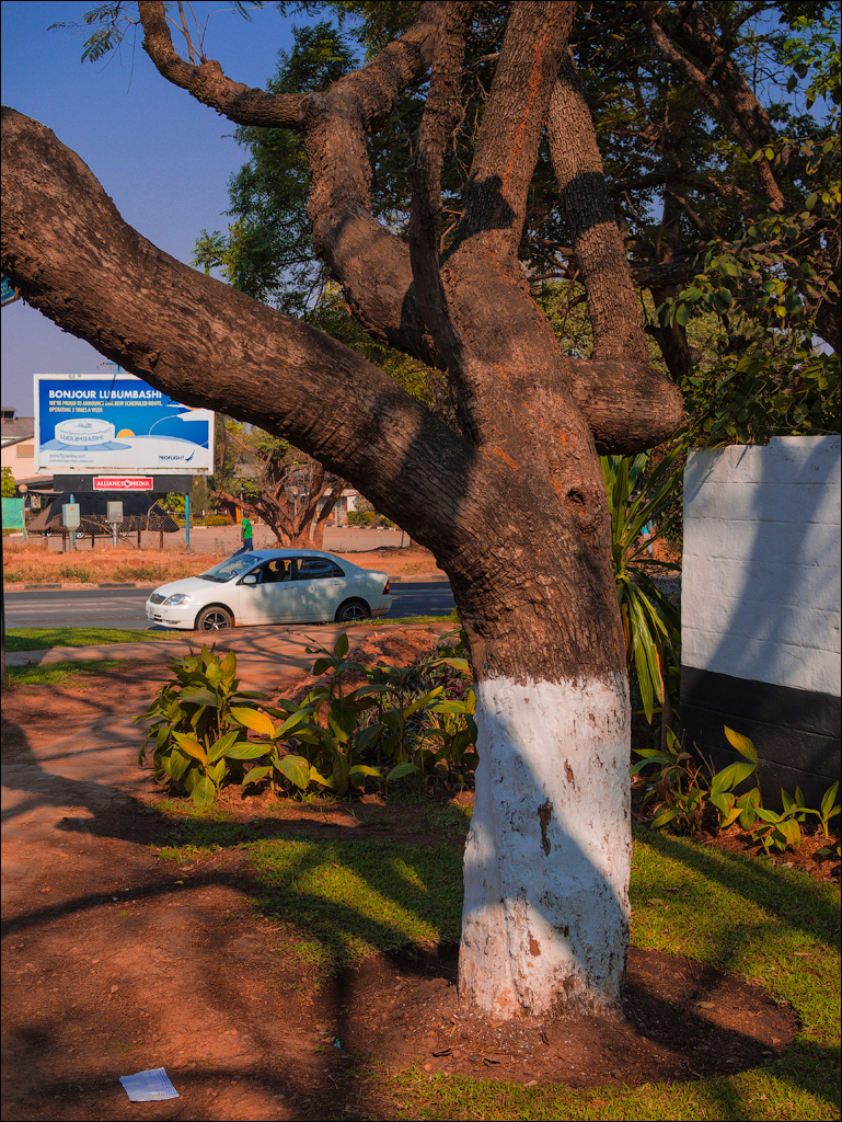 Zambia Aug2015 020