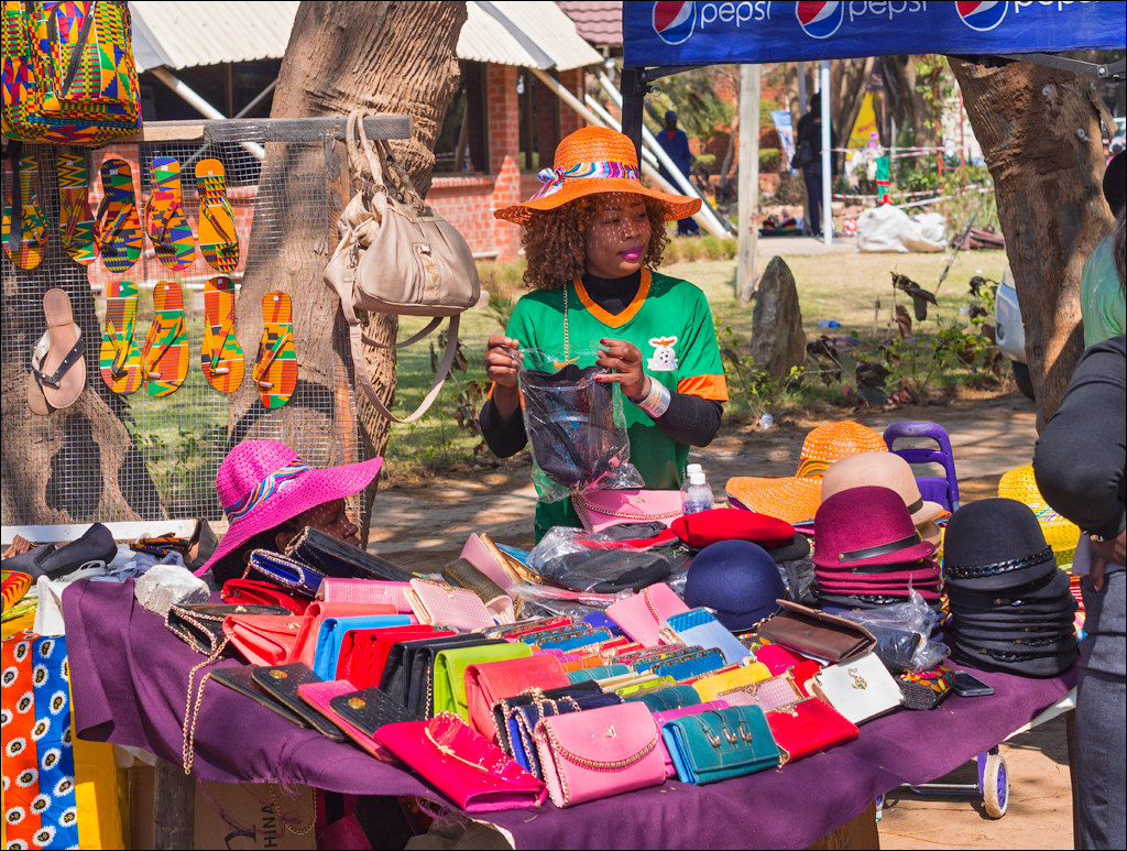 Zambia Aug2015 061