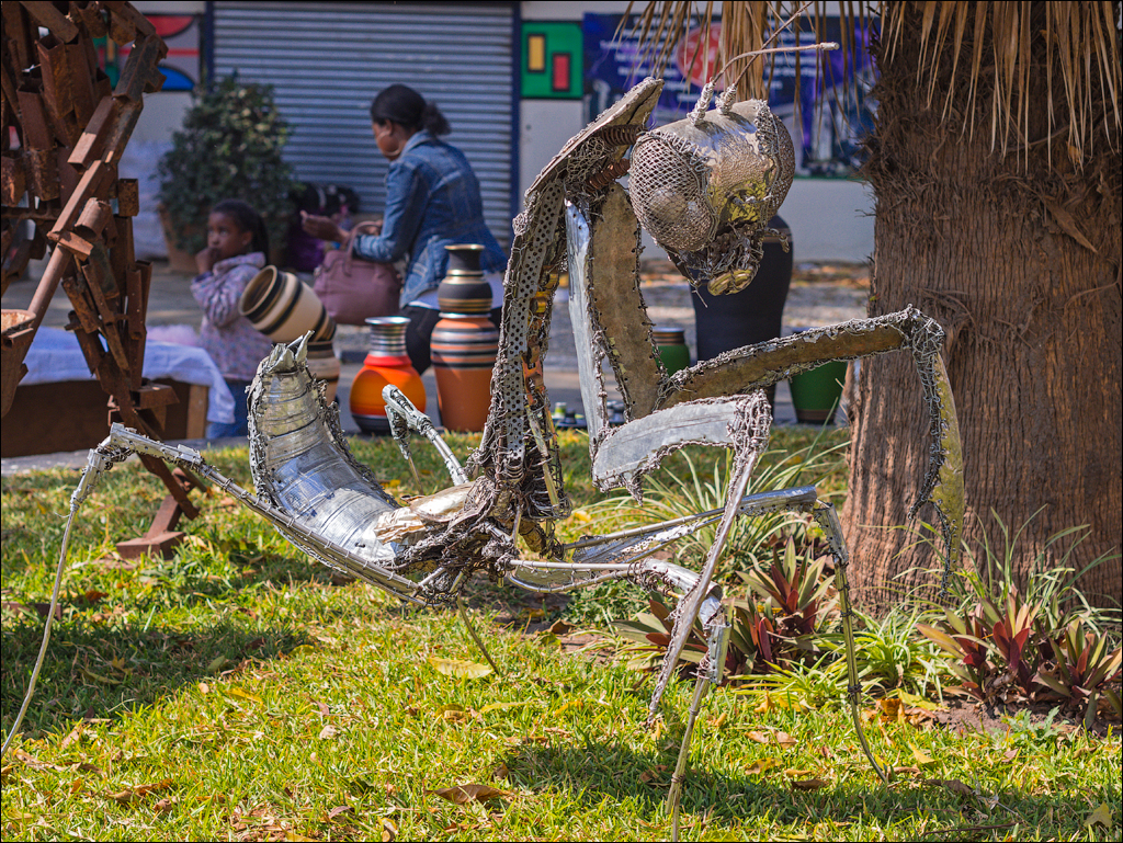 Zambia Aug2015 072