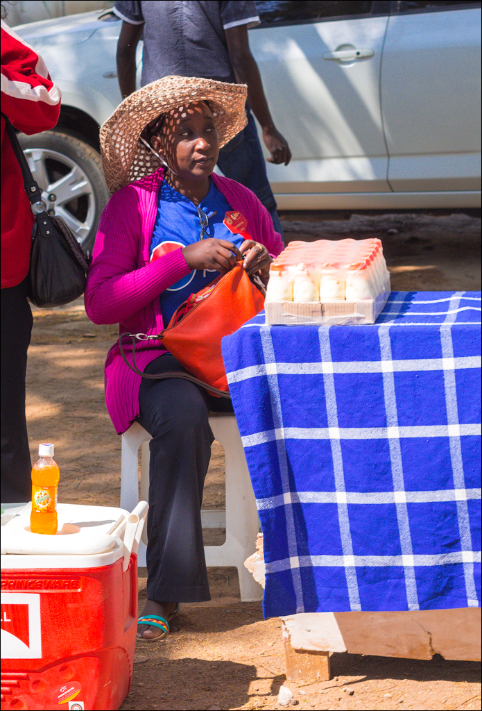Zambia Aug2015 074