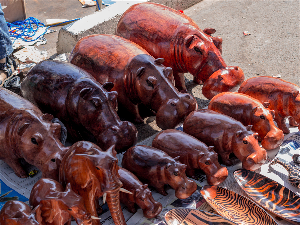 Zambia Aug2015 111