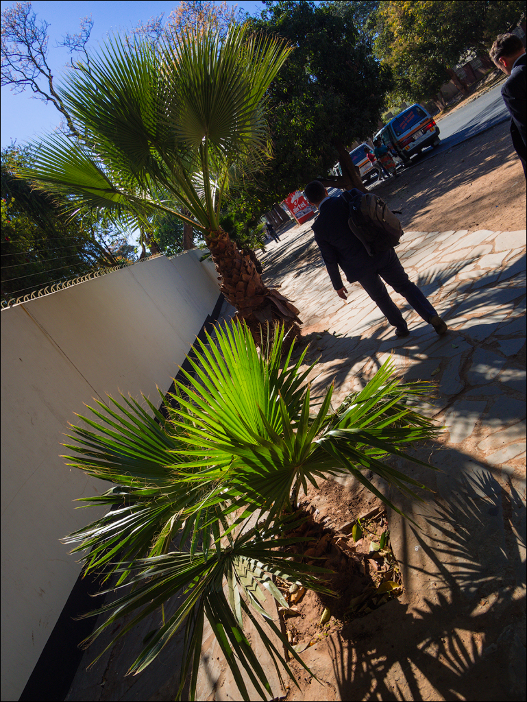 Zambia Aug2015 134