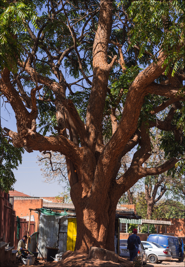 Zambia Aug2015 147