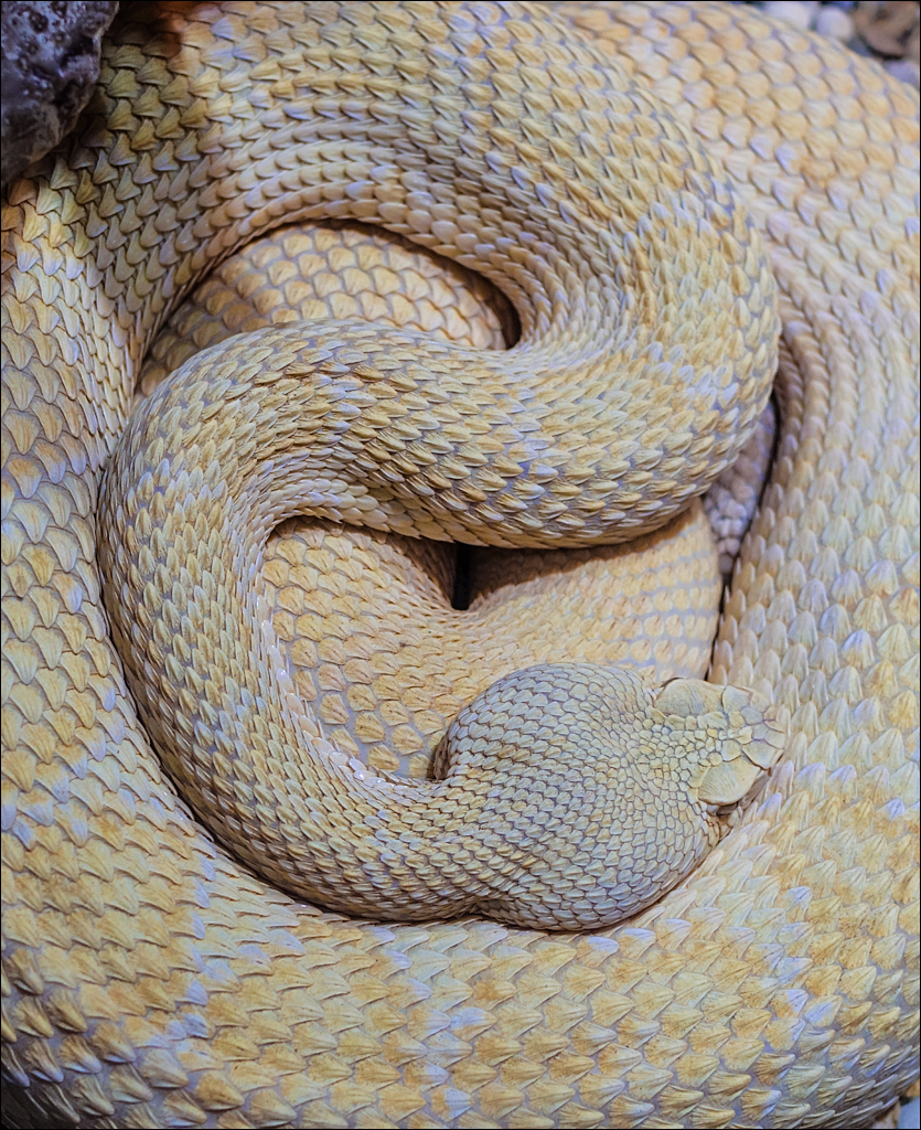 Salzburg 20180101045