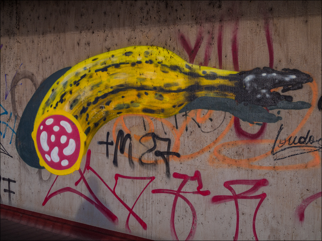 Vienna 1 20180101052