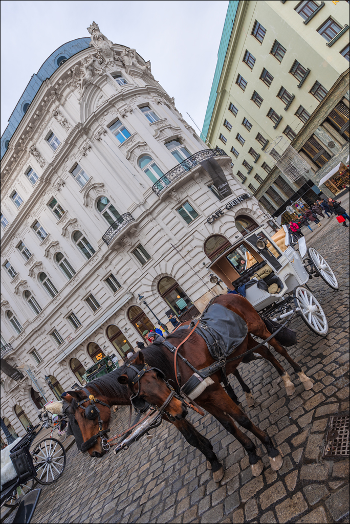 Vienna 1 20180101082