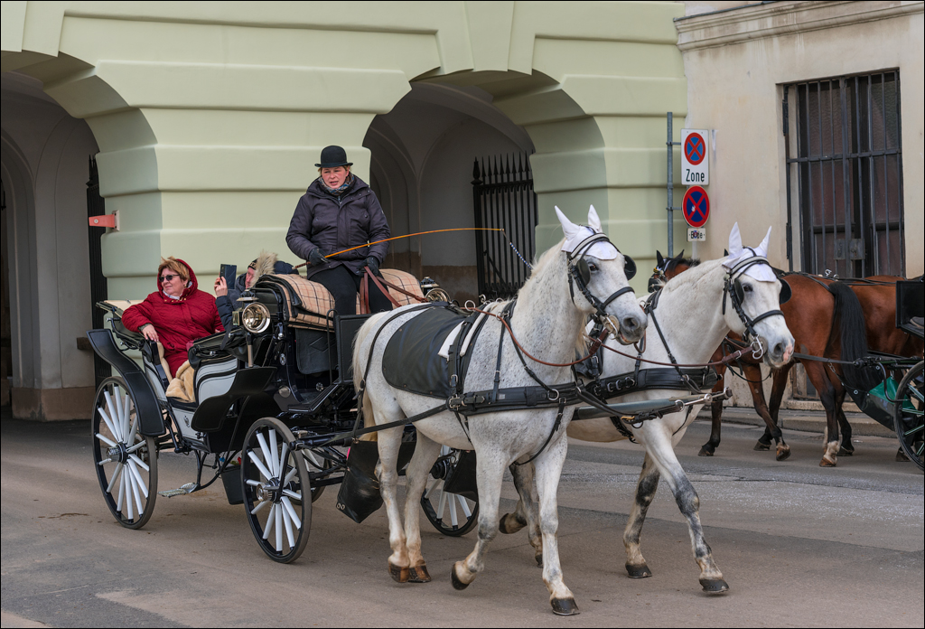 Vienna 1 20180101107