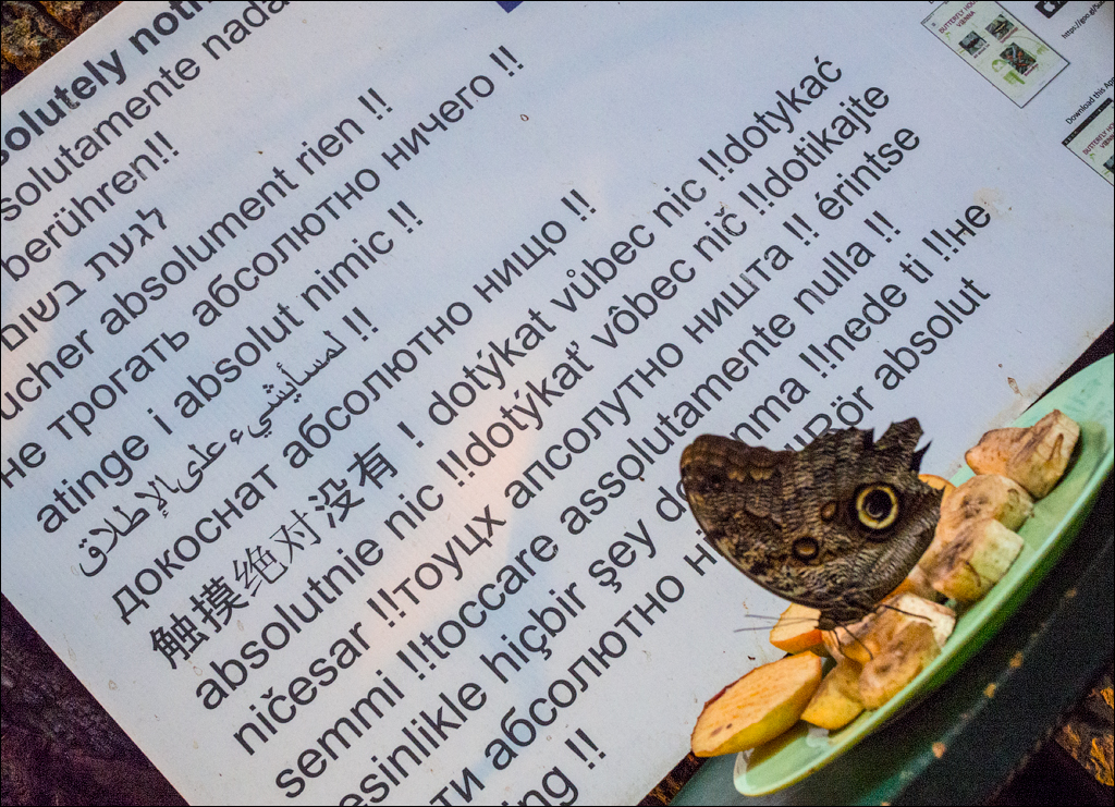 Vienna 1 20180101122