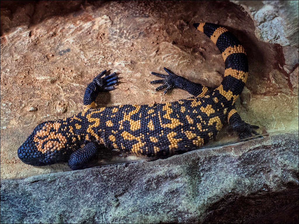 Vienna 2 20180101101