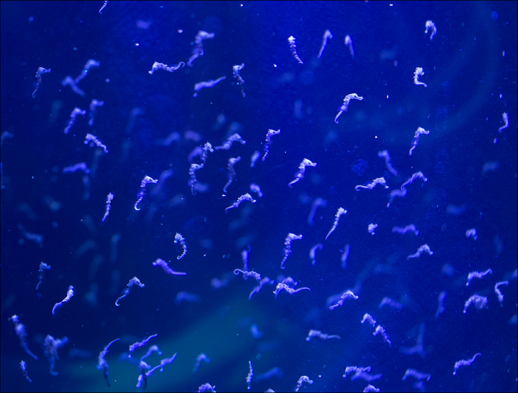 Vienna 2 20180101106