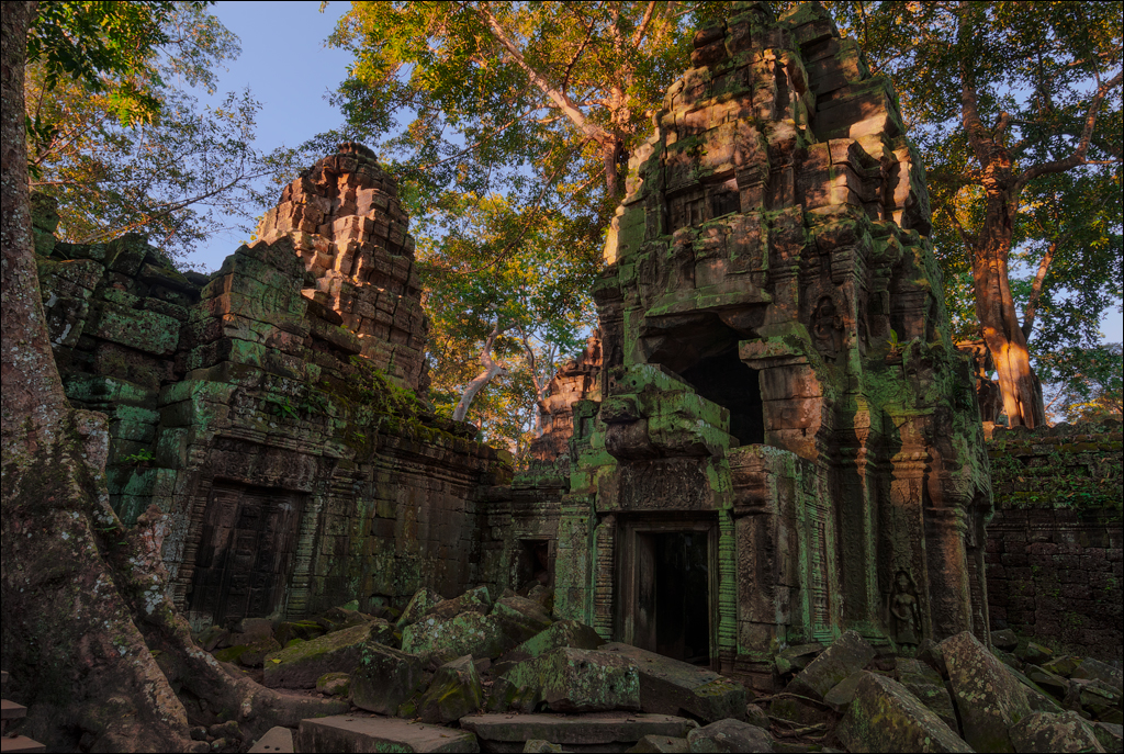 Ta Prohm Nov2009 002