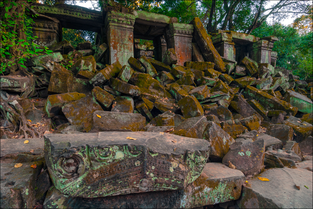Ta Prohm Nov2009 009