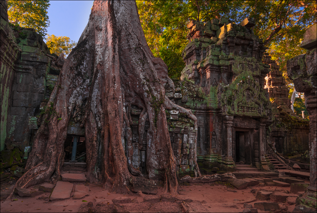 Ta Prohm Nov2009 012