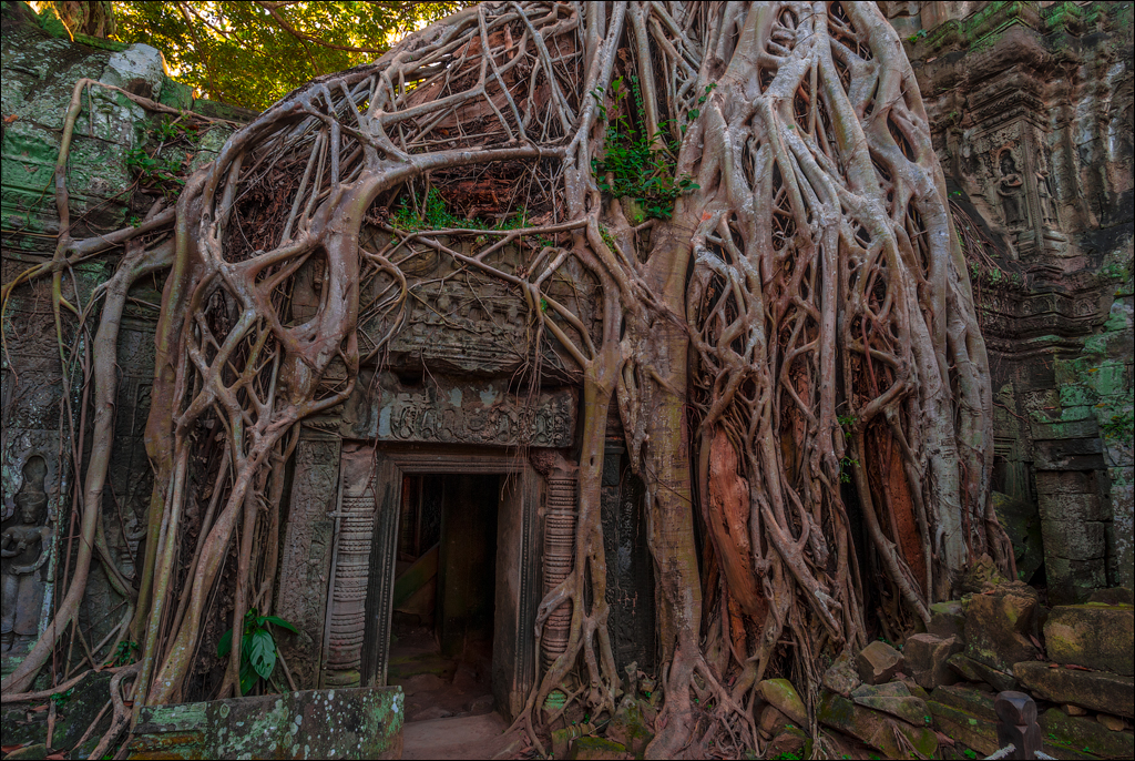 Ta Prohm Nov2009 022