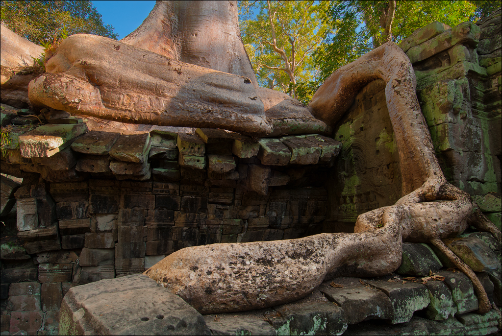 Ta Prohm Nov2009 033