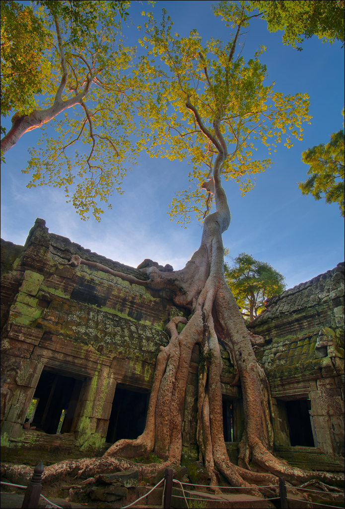 Ta Prohm Nov2009 047