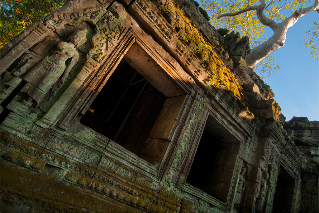 Ta Prohm Nov2009 051