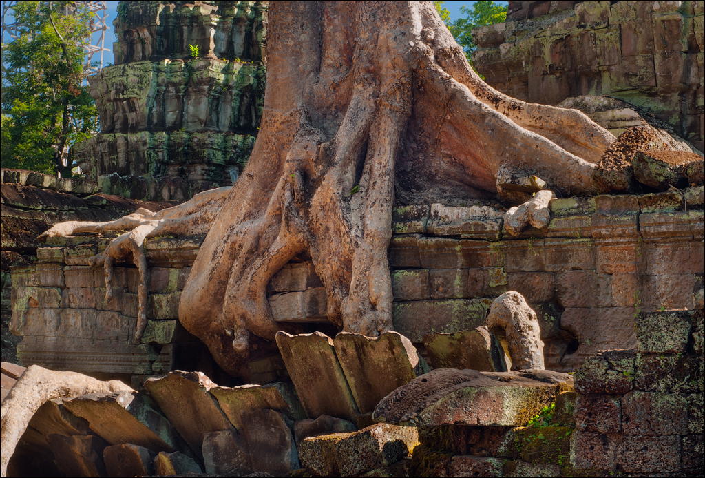 Ta Prohm Nov2009 073