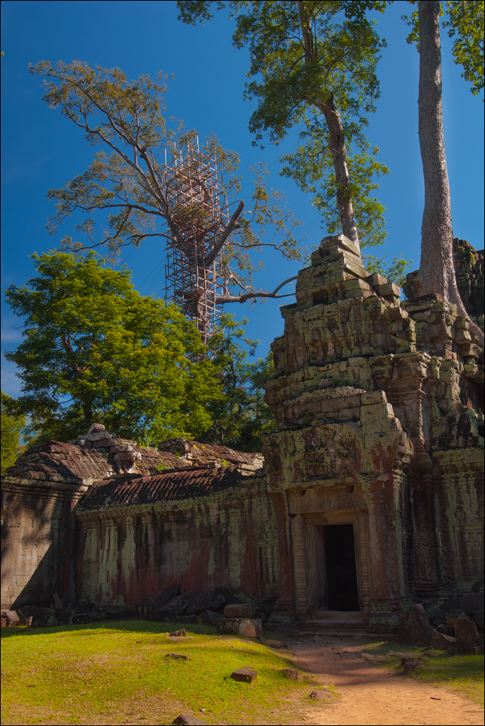 Ta Prohm Nov2009 076