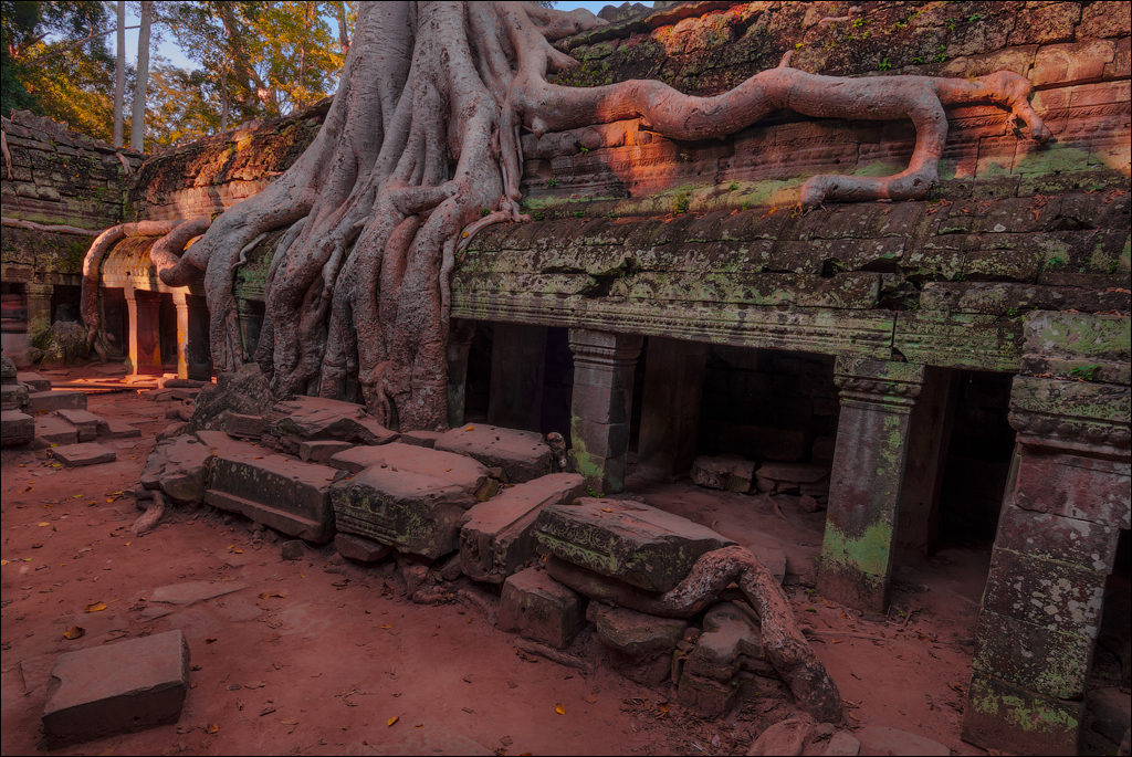 Ta Prohm Nov2009 077