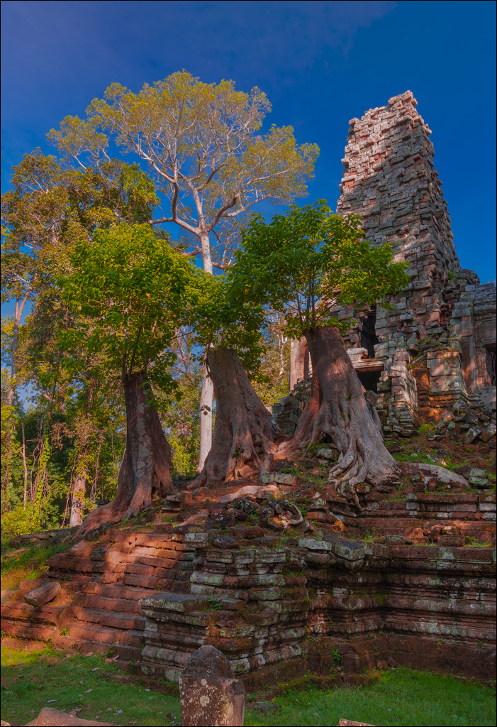 Ta Prohm Nov2009 078